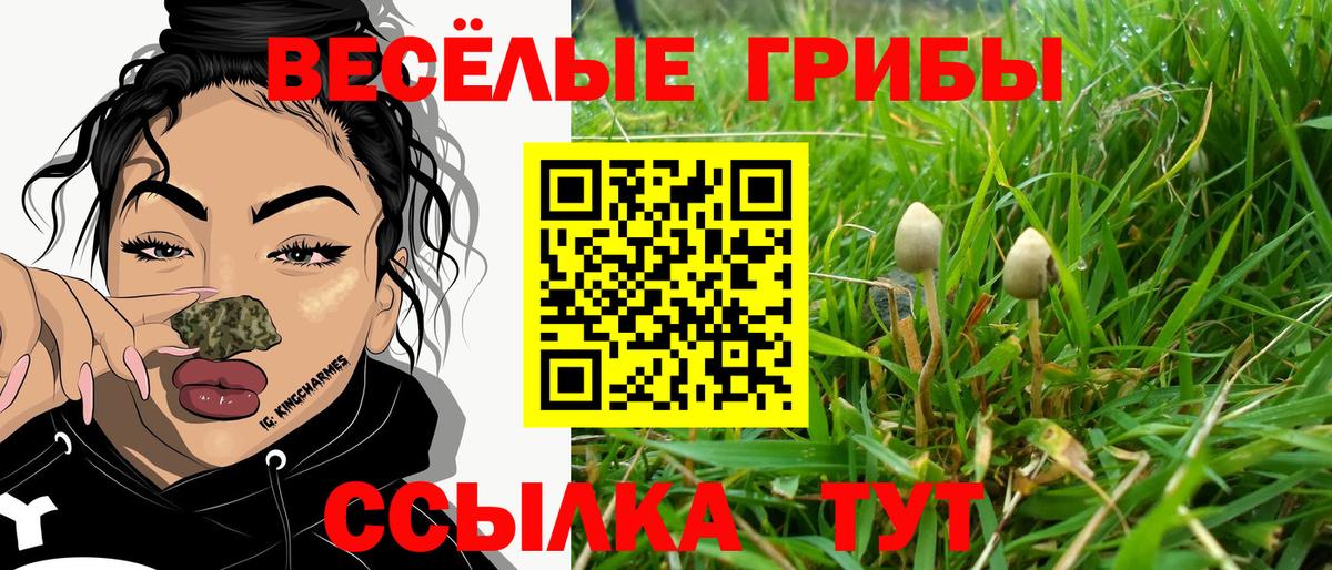 Галлюциногенные грибы MAGIC MUSHROOMS Мирный