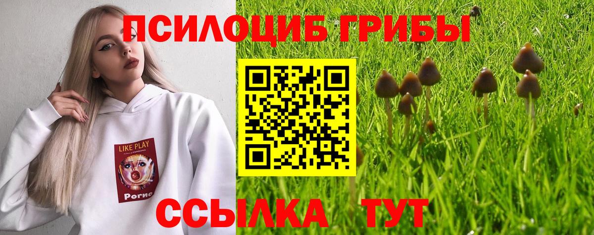 Мирный  Псилоцибиновые грибы Psilocybine cubensis  Вход с VPN  Псилоцибиновые грибы Magic Shrooms 
